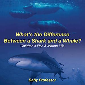 What's the Difference Between a Shark and a Whale? | Children's Fish & Marine Life