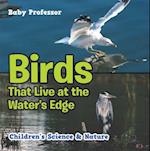 Birds That Live at the Water's Edge | Children's Science & Nature