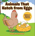 Animals That Hatch from Eggs | Children's Science & Nature