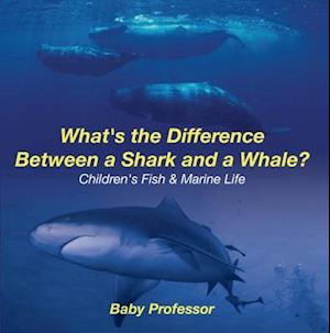 What's the Difference Between a Shark and a Whale? | Children's Fish & Marine Life