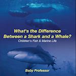 What's the Difference Between a Shark and a Whale? | Children's Fish & Marine Life