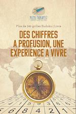 Des Chiffres À Profusion, Une Expérience À Vivre Plus de 240 Grilles Sudoku Livre