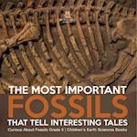 The Most Important Fossils That Tell Interesting Tales | Curious About Fossils Grade 5 | Children's Earth Sciences Books 