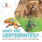 What Are Vertebrates? | Animal Science Book Grade 3 | Children's Zoology Books 