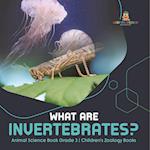What Are Invertebrates? | Animal Science Book Grade 3 | Children's Zoology Books 