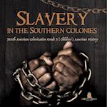 Slavery in the Southern Colonies | North American Colonization Grade 3 | Children's American History 