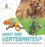 What Are Vertebrates? | Animal Science Book Grade 3 | Children's Zoology Books 