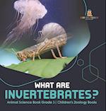 What Are Invertebrates? | Animal Science Book Grade 3 | Children's Zoology Books 