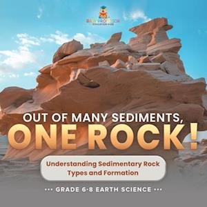 Out of Many Sediments, One Rock! Understanding Sedimentary Rock Types and Formation | Grade 6-8 Earth Science