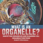 What is an Organelle? Identifying Organelles and Examining Cell Organelle Functions | Grade 6-8 Life Science