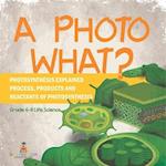 A Photo What? Photosynthesis Explained | Process, Products and Reactants of Photosynthesis | Grade 6-8 Life Science