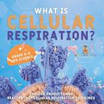What is Cellular Respiration? Process, Products and Reactants of Cellular Respiration Explained | Grade 6-8 Life Science