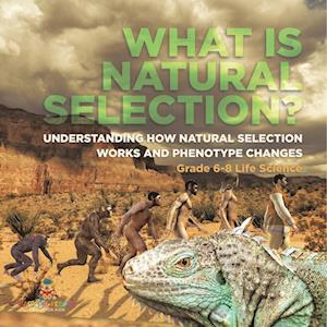 What is Natural Selection? Understanding How Natural Selection Works and Phenotype Changes | Grade 6-8 Life Science