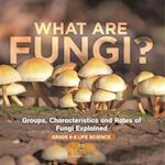 What are Fungi? Groups, Characteristics and Roles of Fungi Explained | Grade 6-8 Life Science