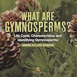 What are Gymnosperms? Life Cycle, Characteristics and Identifying Gymnosperms | Grade 6-8 Life Science