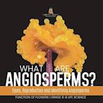 What are Angiosperms? Types, Reproduction and Identifying Angiosperms | Function of Flowers | Grade 6-8 Life Science