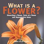 What is a Flower? Dissecting a Flower, Parts of a Flower and Reproductive Roles | Grade 6-8 Life Science