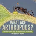 What are Arthropods? Functions, Groups, Roles and Characteristics of Arthropods | Grade 6-8 Life Science