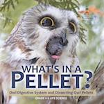 What's in a Pellet? Owl Digestive System and Dissecting Owl Pellets | Grade 6-8 Life Science