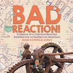 Bad Reaction! Evidence of a Chemical Reaction | Endothermic vs Exothermic Reactions | Grade 6-8 Physical Science