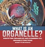 What is an Organelle? Identifying Organelles and Examining Cell Organelle Functions | Grade 6-8 Life Science