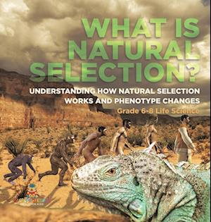 What is Natural Selection? Understanding How Natural Selection Works and Phenotype Changes | Grade 6-8 Life Science