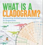 What is a Cladogram? Examining Evolutionary Relationships in Organisms | Grade 6-8 Life Science