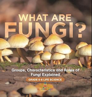 What are Fungi? Groups, Characteristics and Roles of Fungi Explained | Grade 6-8 Life Science