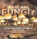 What are Fungi? Groups, Characteristics and Roles of Fungi Explained | Grade 6-8 Life Science