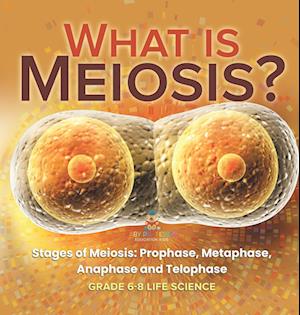 What is Meiosis? Stages of Meiosis, Prophase, Metaphase, Anaphase and Telophase | Grade 6-8 Life Science