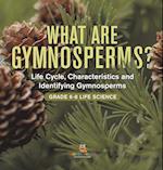 What are Gymnosperms? Life Cycle, Characteristics and Identifying Gymnosperms | Grade 6-8 Life Science