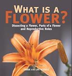 What is a Flower? Dissecting a Flower, Parts of a Flower and Reproductive Roles | Grade 6-8 Life Science