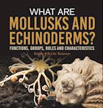 What are Mollusks and Echinoderms? Functions, Groups, Roles and Characteristics | Grade 6-8 Life Science