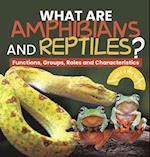 What are Amphibians and Reptiles? Functions, Groups, Roles and Characteristics | Grade 6-8 Life Science