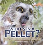 What's in a Pellet? Owl Digestive System and Dissecting Owl Pellets | Grade 6-8 Life Science