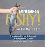 Something's Fishy! What is a Fish? Functions, Groups, Roles and Characteristics of Fish | Grade 6-8 Life Science