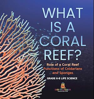 What is a Coral Reef? Role of a Coral Reef | Functions of Cnidarians and Sponges | Grade 6-8 Life Science