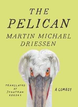 The Pelican