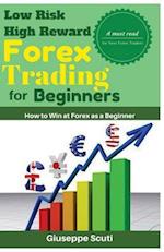 Low Risk High Reward Forex Trading for Beginners