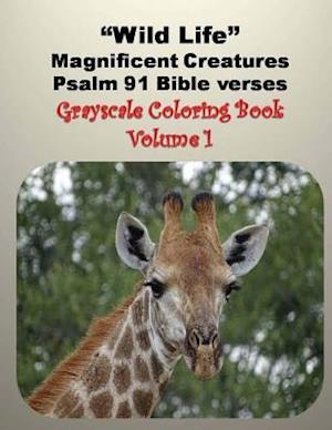 Wild Life Magnificent Creatures Psalm 91 Bible verses