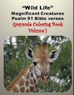 Wild Life Magnificent Creatures Psalm 91 Bible verses