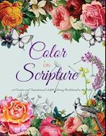 Color in Scripture