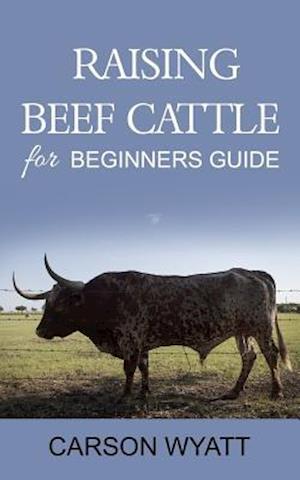 Raising Beef Cattle For Beginner's Guide