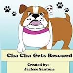 Cha Cha Gets Rescued