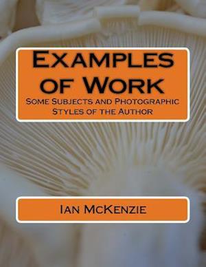 Examples of Work