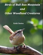 Birds of Bull Run Mountain and Other Woodland Creatures