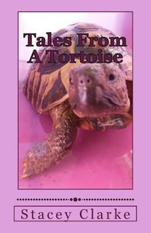 Tales From A Tortoise