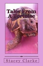 Tales From A Tortoise