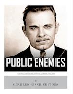 Public Enemies