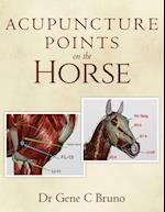 Acupuncture Points on the Horse